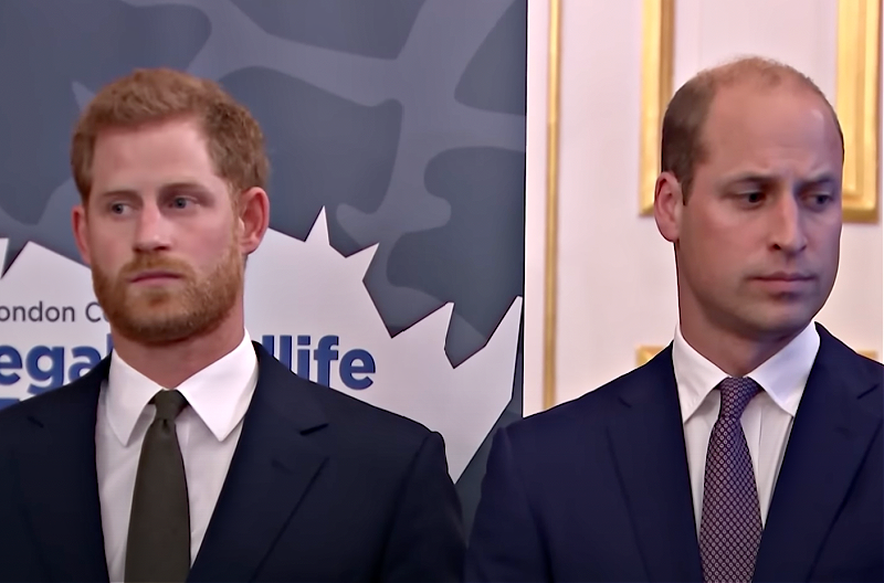 Prince Wiliam And Prince Harry Were Talked Out Of Reopening Princess Diana’s Case