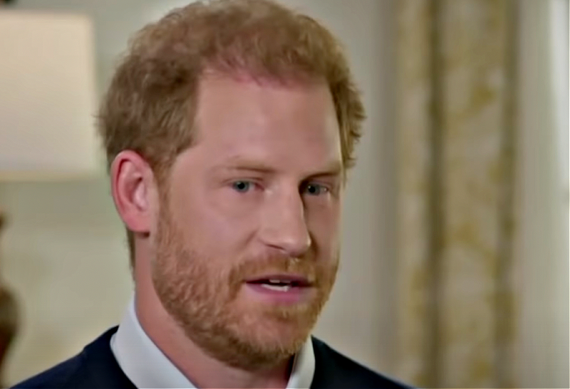 Prince Harry Focuses On Making Millions Despite Claims To Love Public Service!