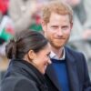 Prince Harry and Meghan Markle 'Blackmail' Royals With New Book Rumors?!
