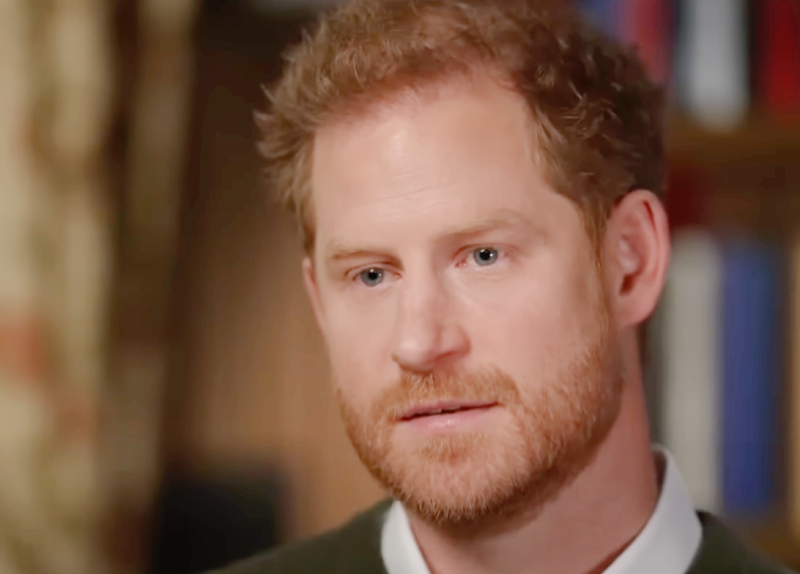 Prince Harry Shocks His Army Instructor With Lies In 'Complete Fantasy' Memoir!