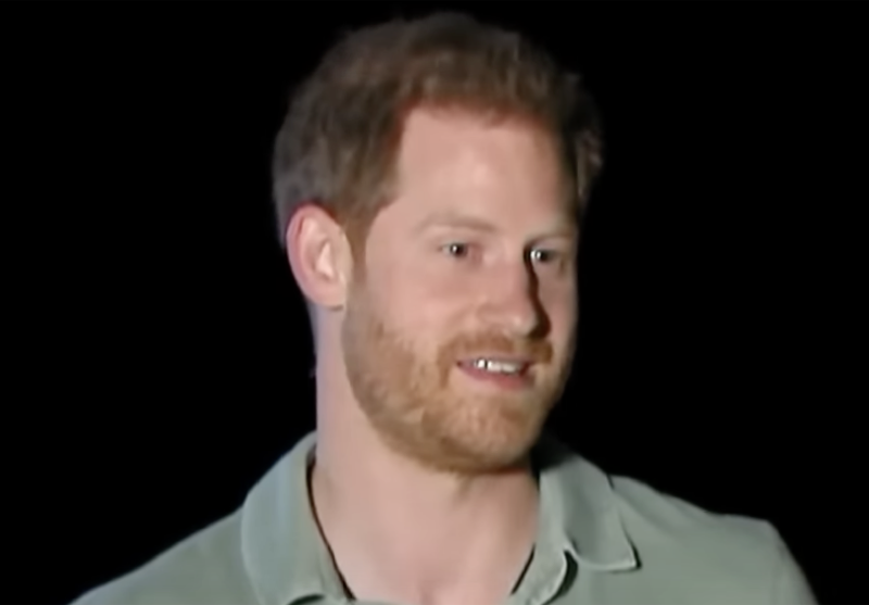 Psychologists Suggest Prince Harry Is Mentally Unstable After Reviewing What He's Written On “Spare”