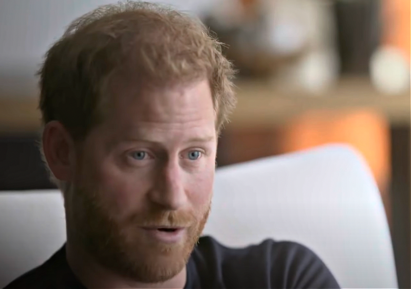 Royal Family News: Prince Harry Hired To Lecture Clueless World-Class Coaches In Silicon Valley