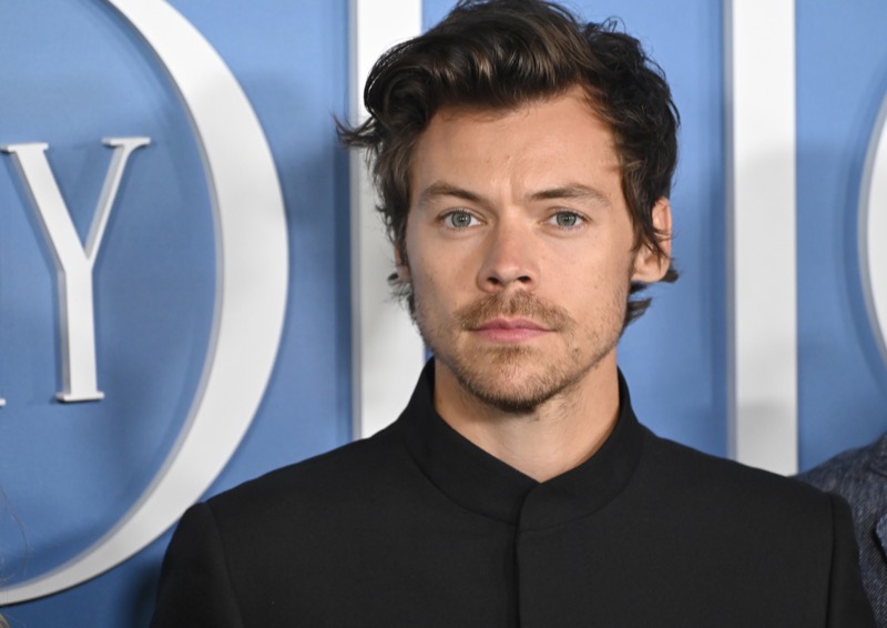 Harry Styles Has A New Love Conquest And You Won’t Believe Who It Is