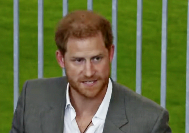 Royal Family News: Princess Diana's Butler Rips Prince Harry For Rudeness