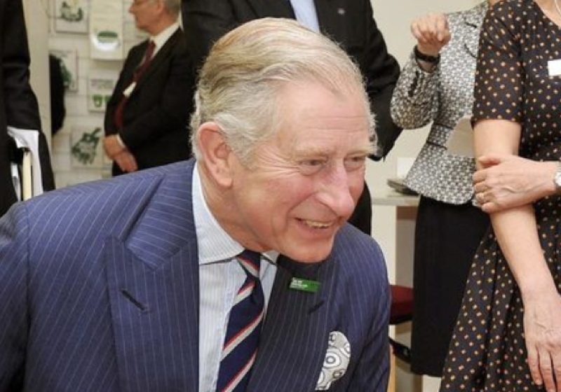 Royal Family News: The Royal Rota Slams King Charles For Being ‘Weak and Unconvincing’