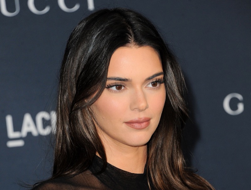 Kardashian Fans Sides With Kendall Jenner Amid Feud With Family Member