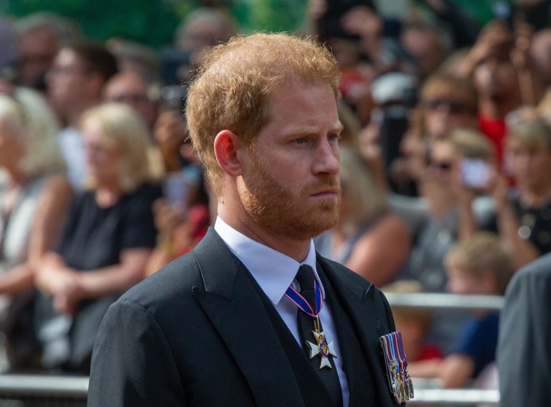 Royal Family News: Prince Harry Rants About King Charles “Controlling” His Money