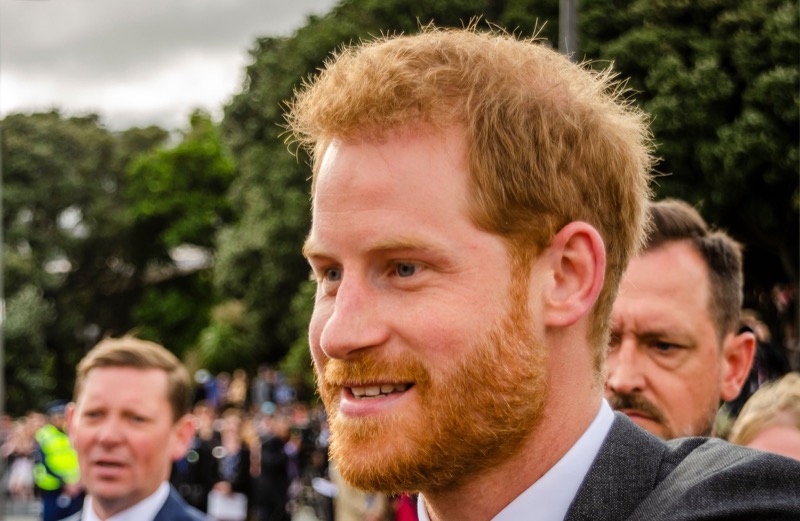 Royal Family News: Prince Harry Slammed By Critic, Told To ‘Stick To Celebrity Gossip Columns’