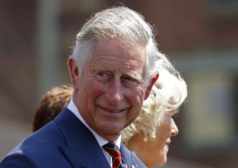 Royal Family News: Royal Critics Urging King Charles To Protect Prince William From Harry