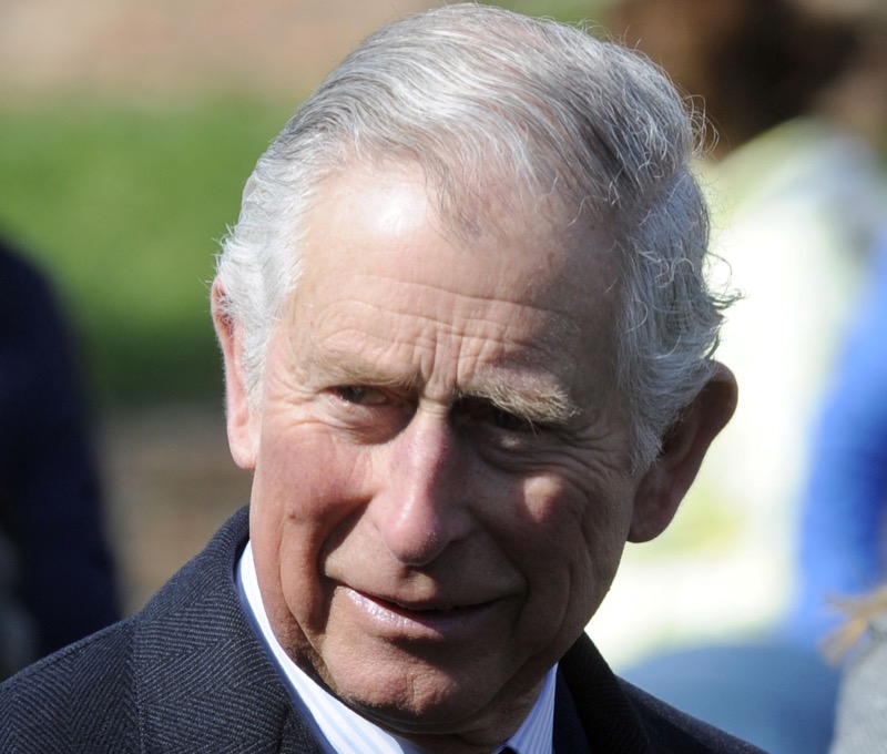 Royal Family News: The Royal Family's Real Power, How Exactly Is King Charles In Charge?