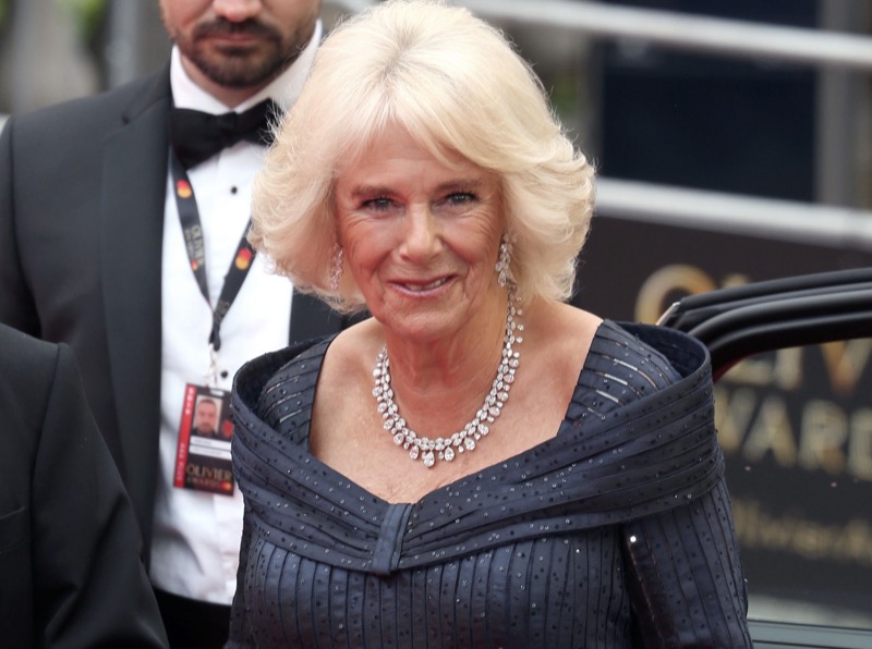 Royal Family News: Camilla Parker Bowles Praised For Wearing On Old Crown Rather Than Get A New One