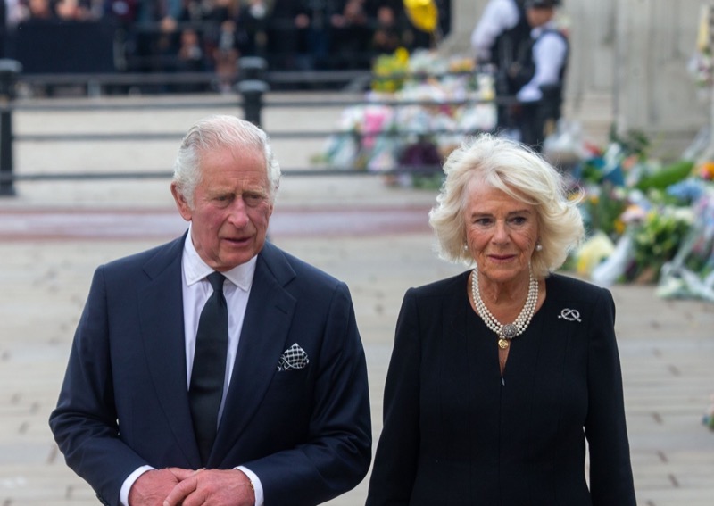 King Charles Reacts To Prince Harry's Coronation Demand
