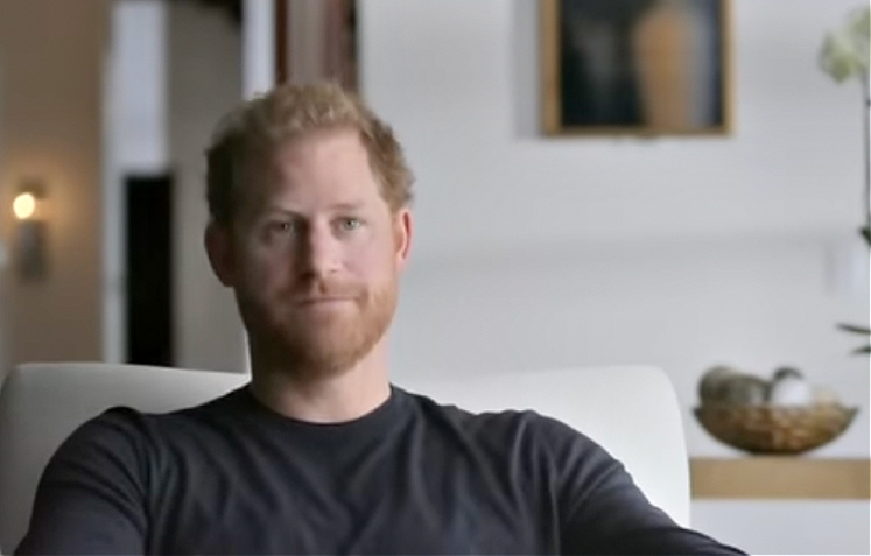 Prince Harry Wants Private Island More Popularity And Public Sympathy