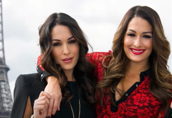 Nikki & Brie Bella