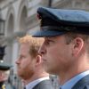 Royal Family News: Prince William And Harry Both Just Got The Shaft From Princess Diana’s Niece