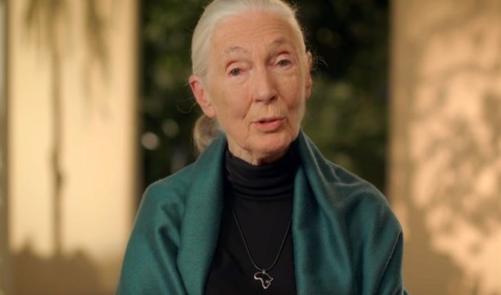 Jane Goodall