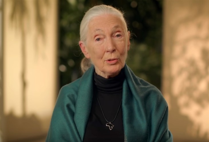 Jane Goodall 