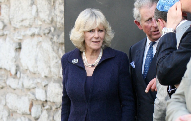 Queen Camilla Is Rubbing Kate Middleton’s Nose In The Dirt?