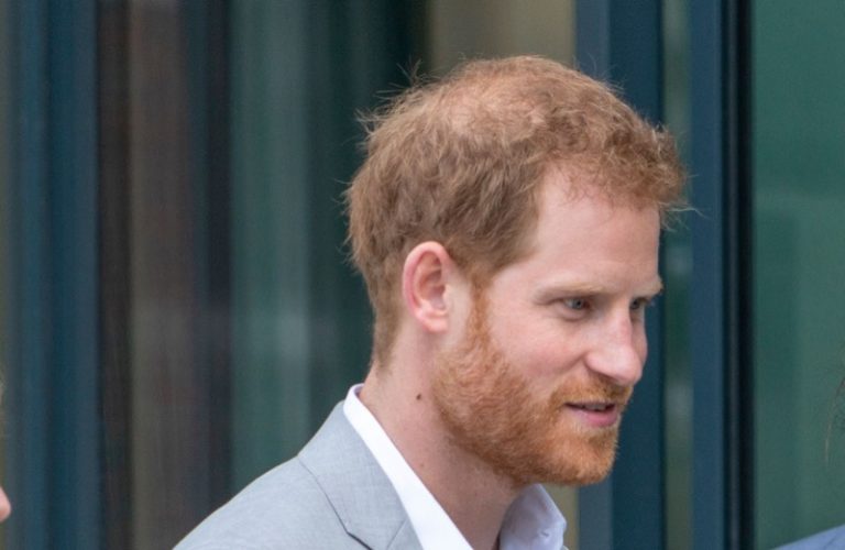 Royal Family News Prince Harry Told to Run African “Safari Park” If