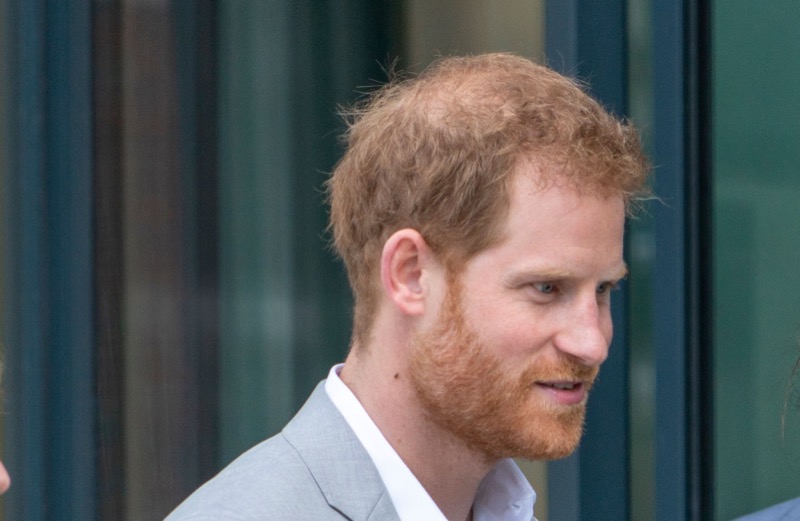 Royal Family News: Prince Harry Told to Run African “Safari Park” If Kicked Out of US For Drug Use