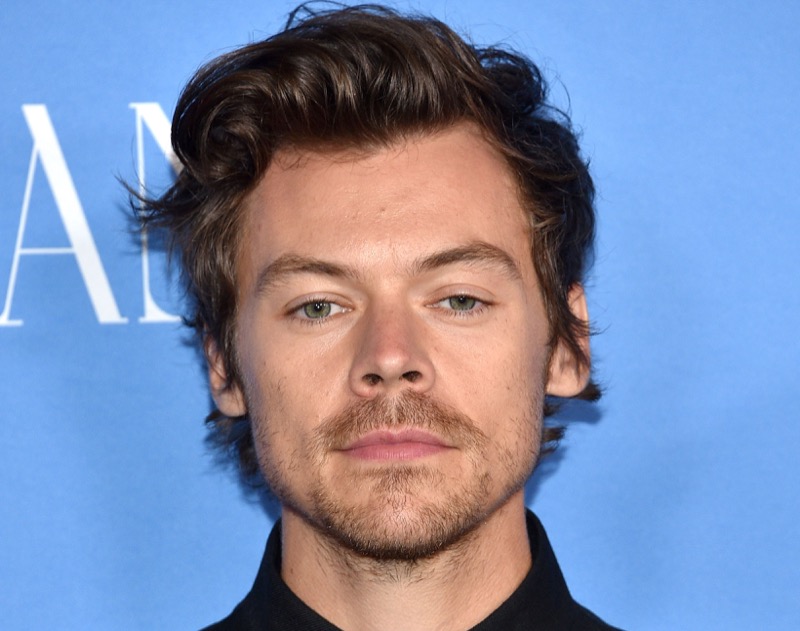 Harry Styles’ Mother Says This Is The Reason Why He’s So Successful