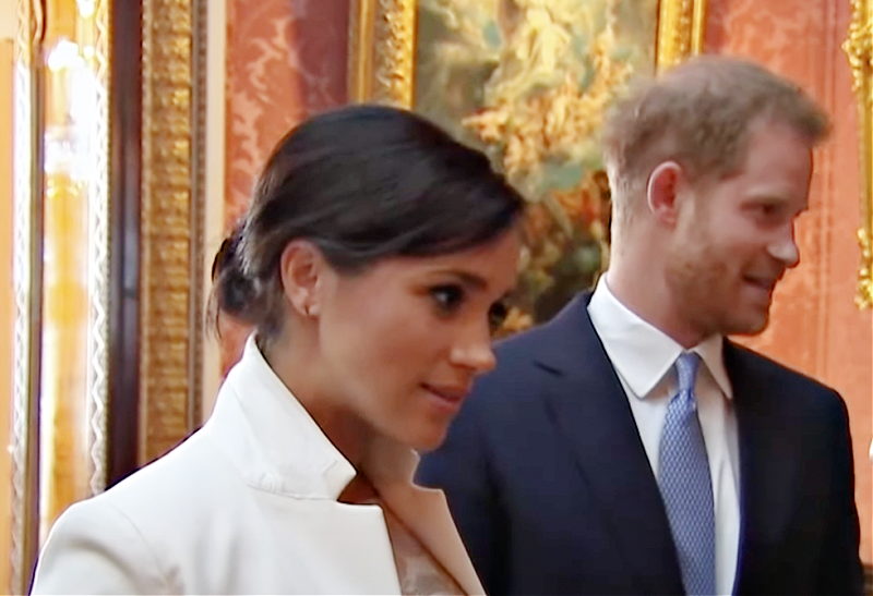 Prince Harry And Meghan Markle ‘No Longer Have A Place’ Within The Royal Family, So Says Critic