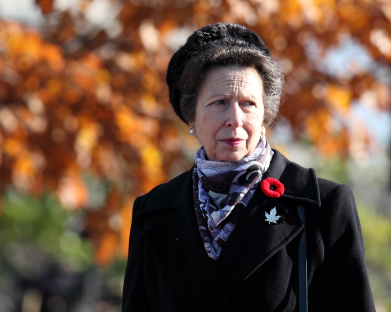 Princess Anne Blocks Prince Harry At Coronation With Hat Feather, Twitter Reacts!
