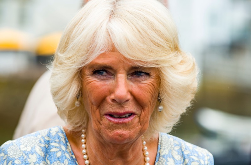 Camilla Parker-Bowles Is Preparing To Be A Different Kind Of Queen