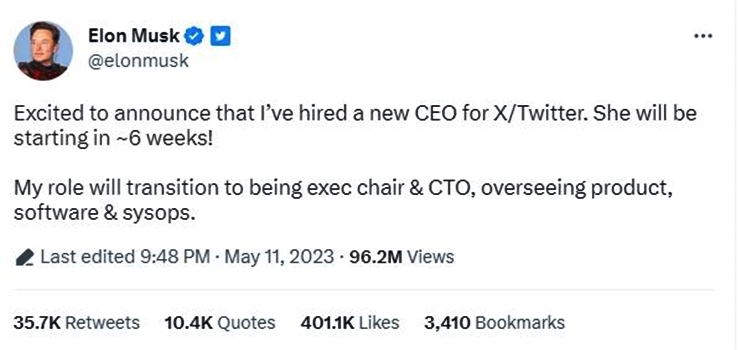 Twitter Blues Meltdown After Elon Musk Appoints New CEO