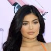 Why Is Kylie Jenner Worried For Her Daughter Stormi?