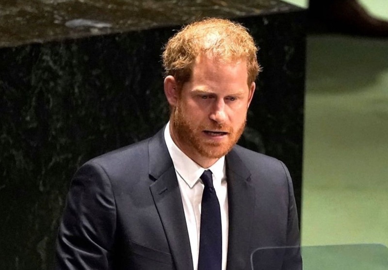 Prince Harry Made His First Debut As Christian Dior Model