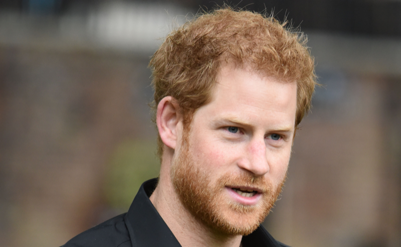 Royal Family News: Prince Harry Ready To Trash King Charles & Prince William In June Court Case?