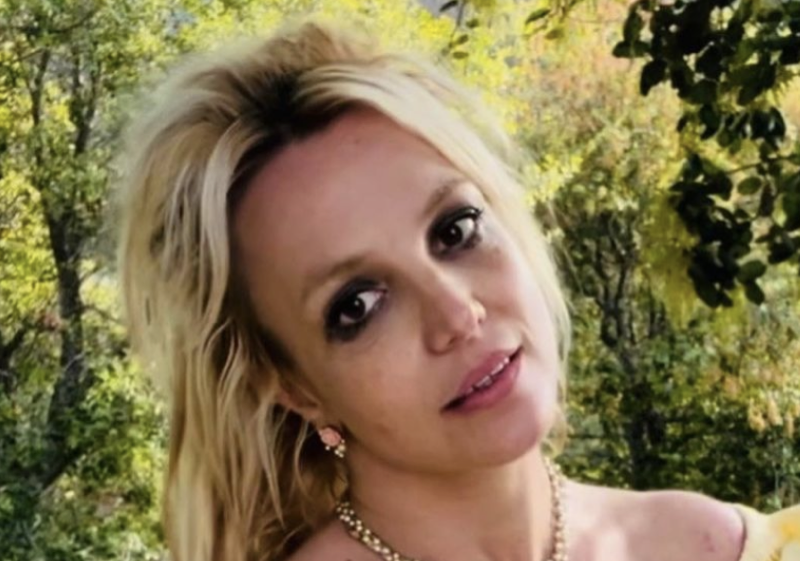 Britney Spears Finally Reunites With Her Mother Lynne Spears