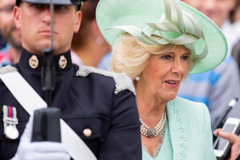 Royal Family News: THIS Will Happen To Queen Camilla If King Charles Dies