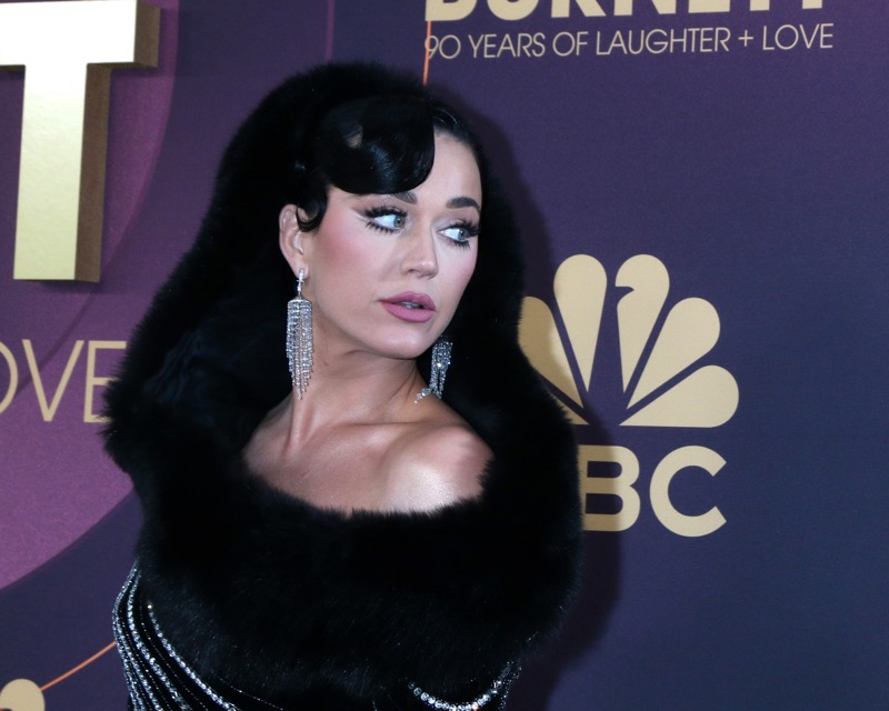 American Idol Fans Don't All Want Katy Perry To Leave - Why?