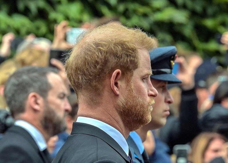 Royal Family News: Prince Harry Called “Badly Flawed” Is He Ruining Meghan Markle’s Career?