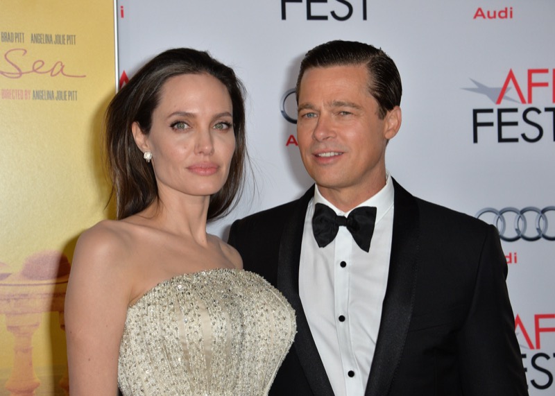 Brad Pitt Fears Angelina Jolie Wants To Take Kids Away, Claims Source
