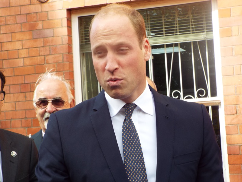 Prince William’s New Project Doesn’t Have A Chance To Survive