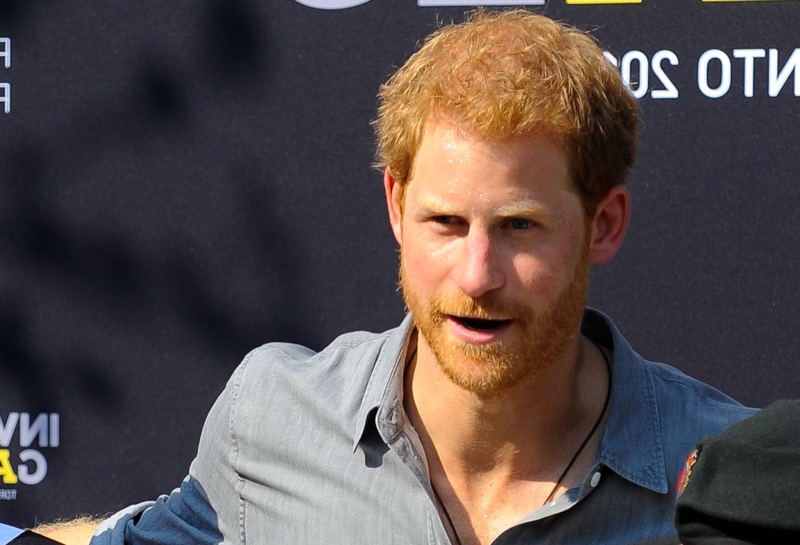 Royal Family News: Prince Harry's Humiliation, Dumped As The Face Of Travalyst