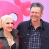 Will Gwen Stefani & Blake Shelton Get Their Own Reality Show?