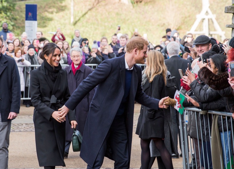 Meghan Markle And Prince Harry Push To Possess 'Posh Lifestyle'