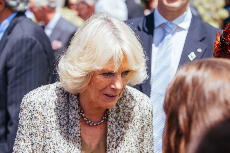 Royal Family News: Why This Week Could Be THE Most Significant in Queen Camilla’s Life