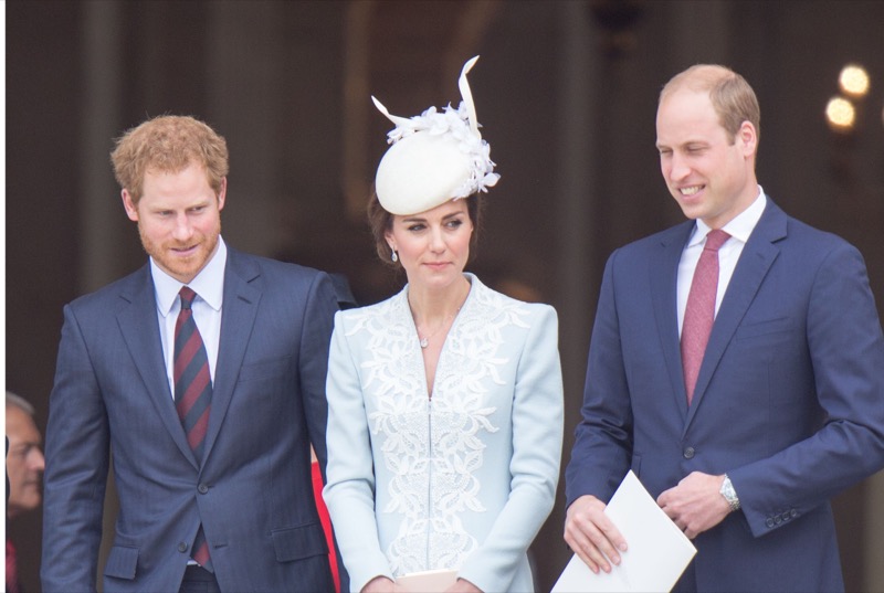 Royal Family News: The Real Reason Princes Harry and William Are More Famous Than Their Wives