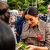 President Joe Biden's Sister Says Democrats Need More Women Like Meghan Markle
