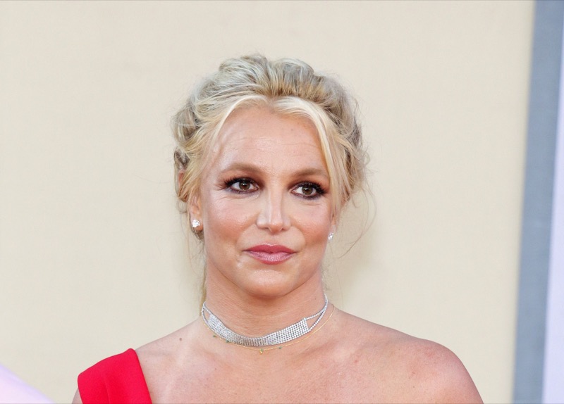 Britney Spears Shares Heartbreaking 'Pain' Amid Sam Asghari Divorce
