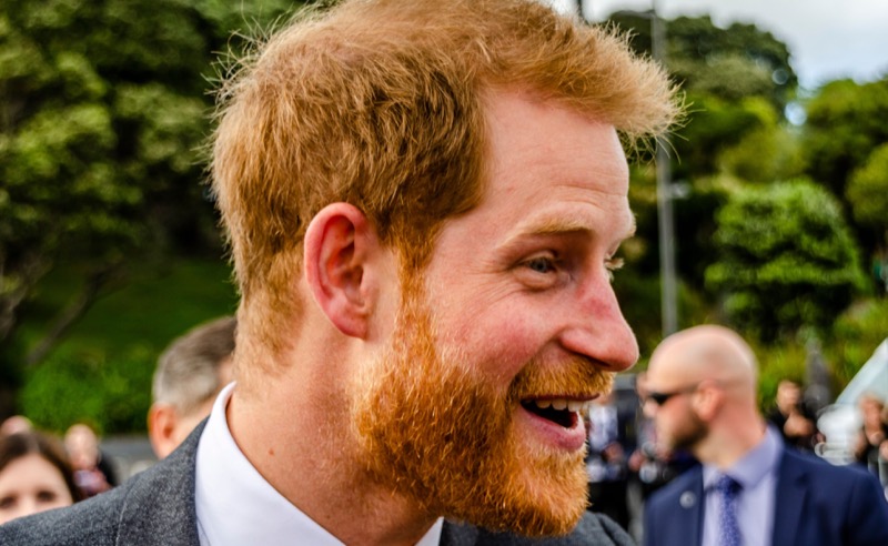 Royal Family News: Prince Harry Festering At The “Bottom” Of The Royal List