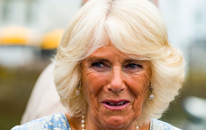 Camilla Parker Bowles Is Turning Into A Big Problem For King Charles