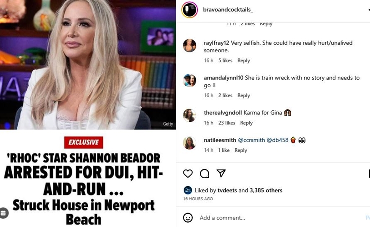 RHOC Fans Claim Shannon Beador Was A DUI Waiting To Happen