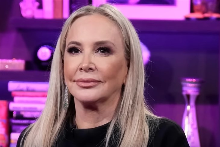 RHOC Star Shannon Beador 'Ashamed' Of DUI, Should Real Housewives Feature Arrest?