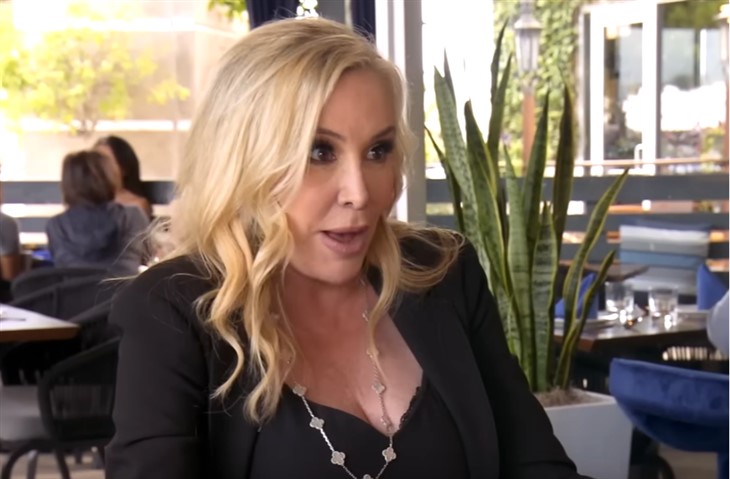 Real Housewives Spoilers: Will Shannon Beador And Her Dog Archie Return To RHOC?